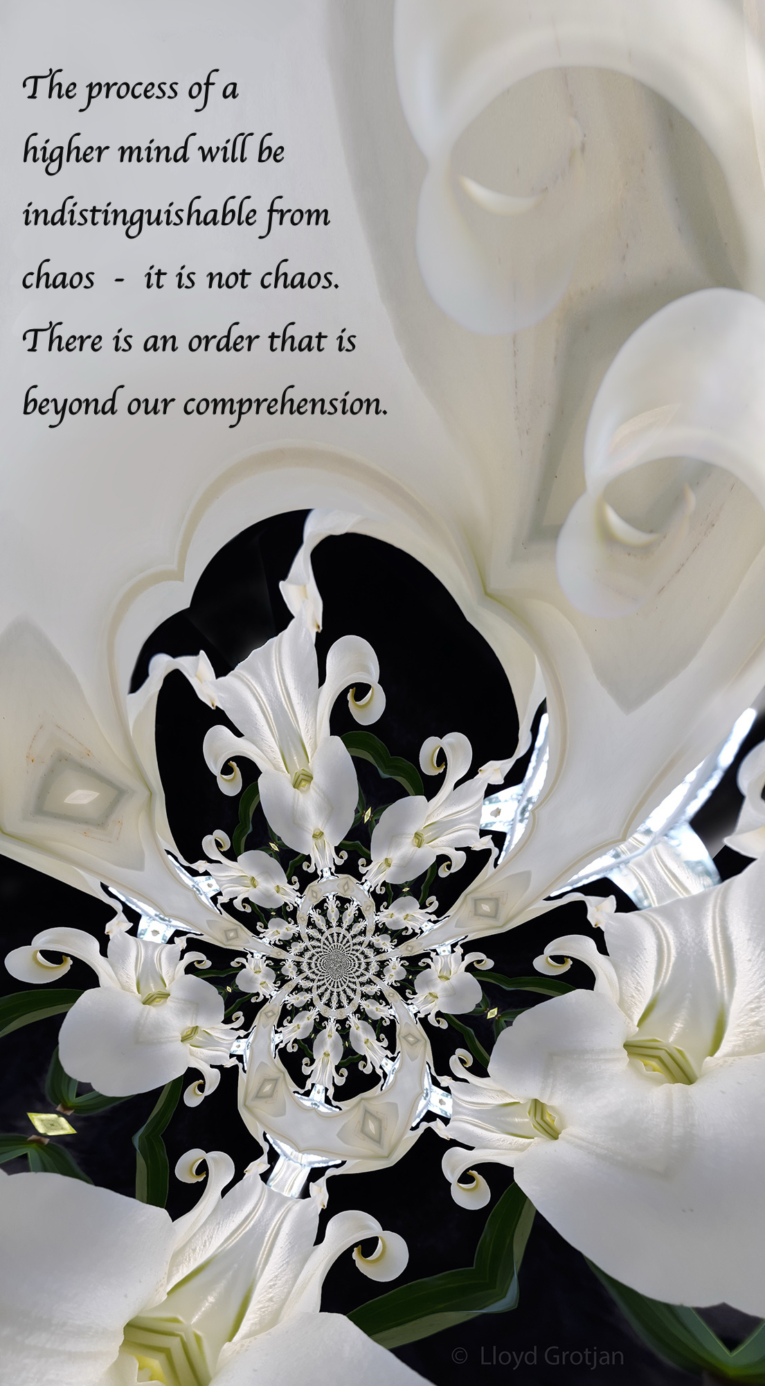 Quote and image by Lloyd Grotjan